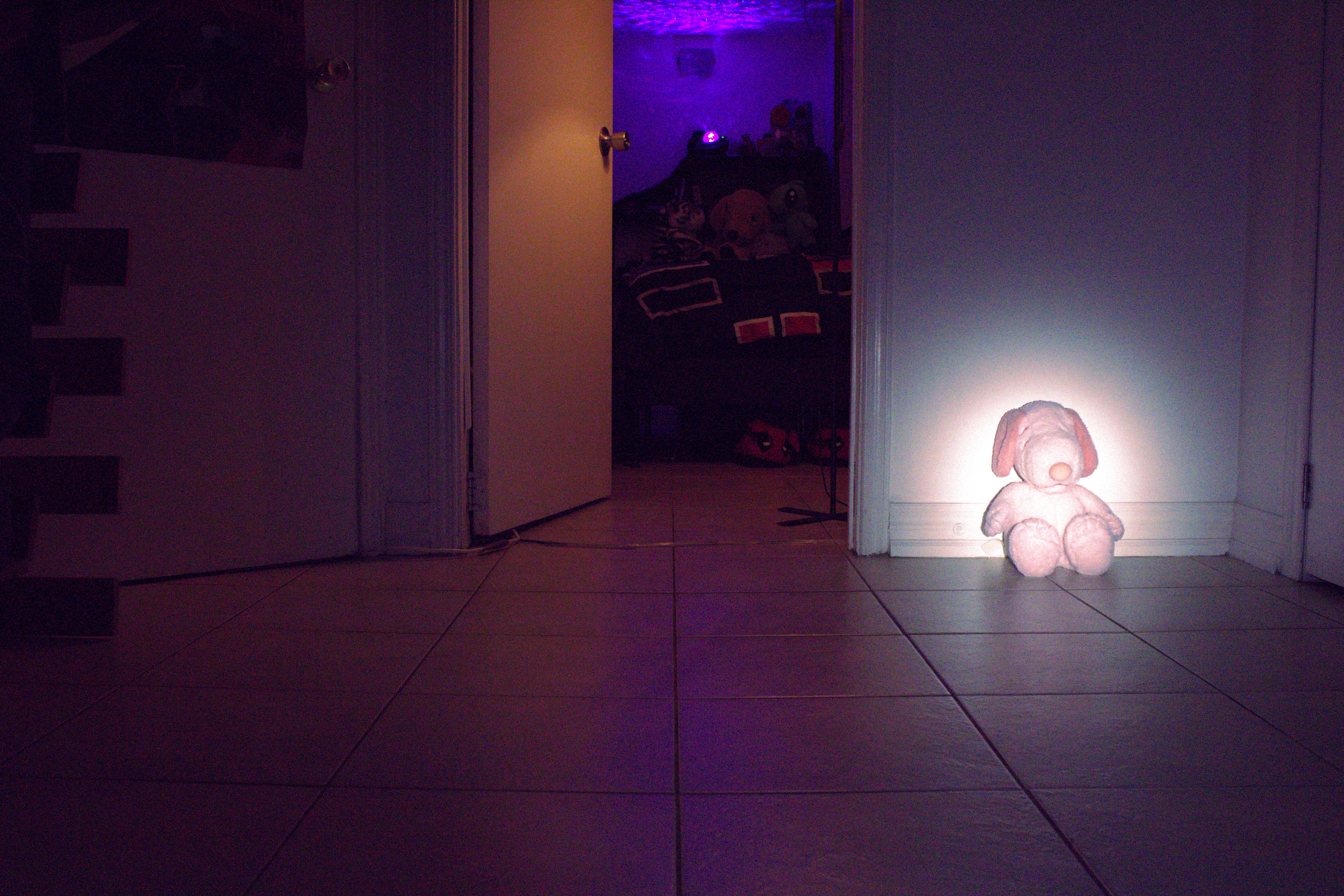 A pink stuffed dog sits outside an open doorway, highlighted by a spotlight. her friends wait inside